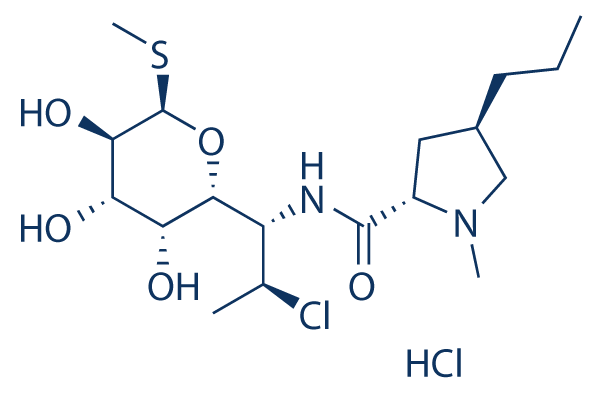 Clindamycin HCl 化学構造